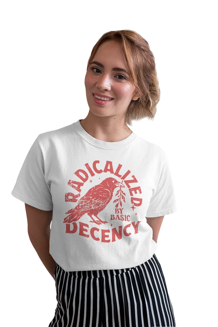 Radicalized by Basic Decency Tee product image (2)