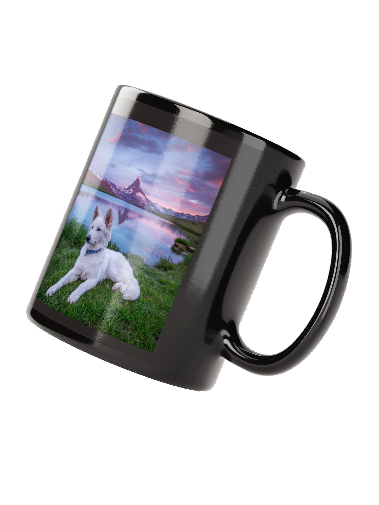 Lil Rasta at Stellisee product image (7)