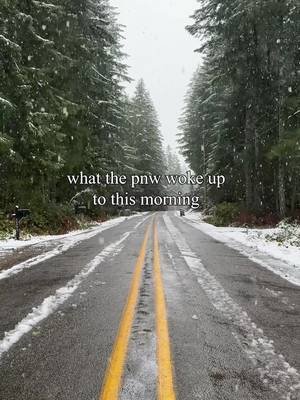 first snow of the year btw ❄️ #washington #pnw #portorchard #snowfall #winter 