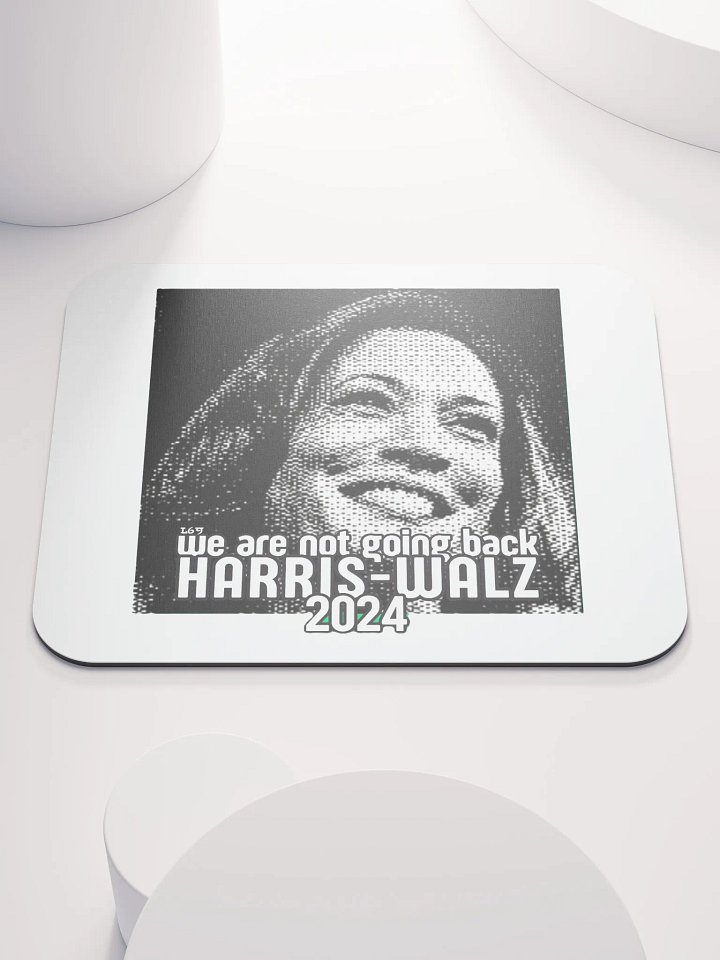 HARRIS-WALZ 2024 WE ARE NOT GOING BACK product image (1)