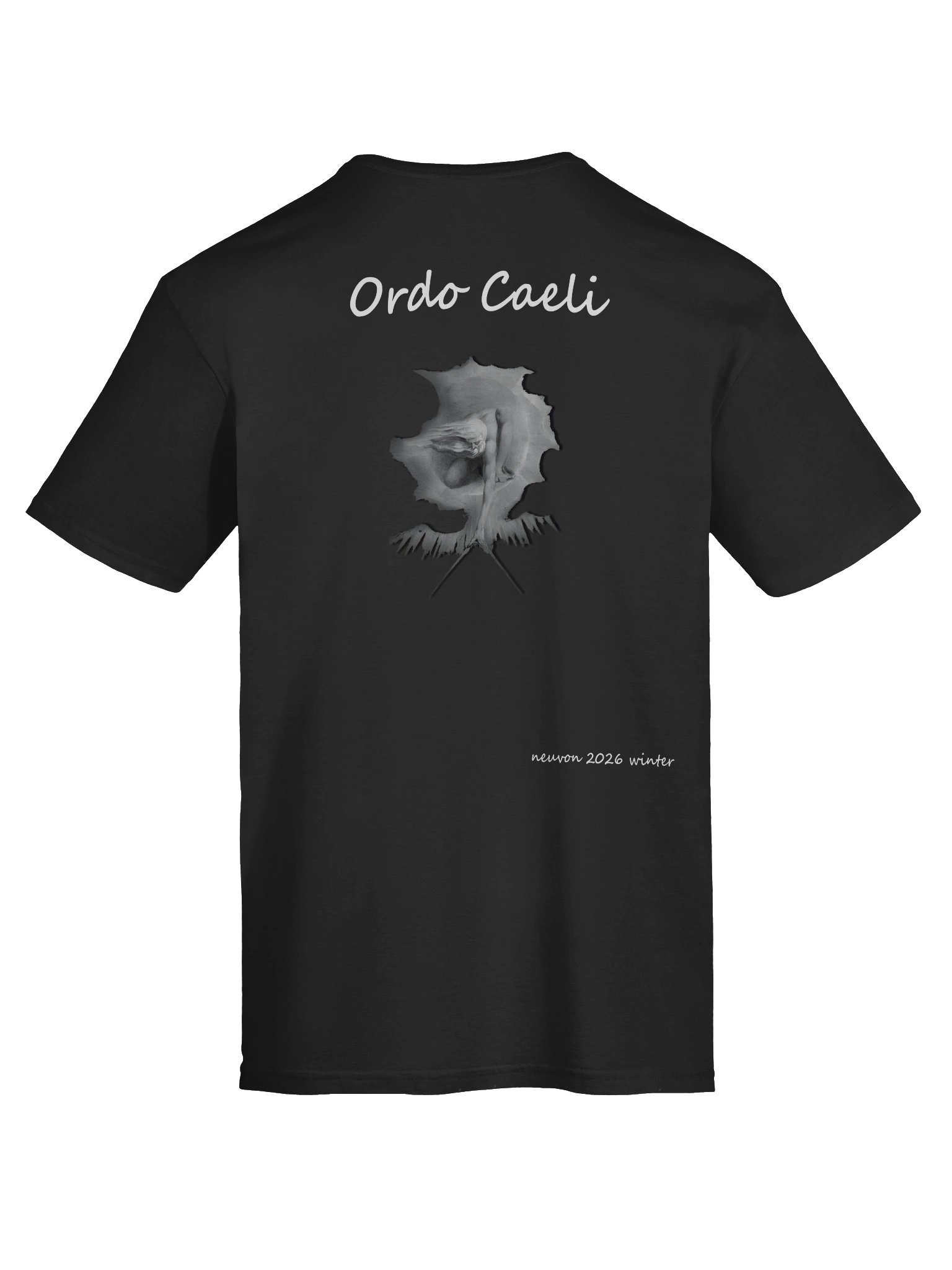 Ordo Caeli Softstyle T-Shirt - Winter 2026 product image (11)