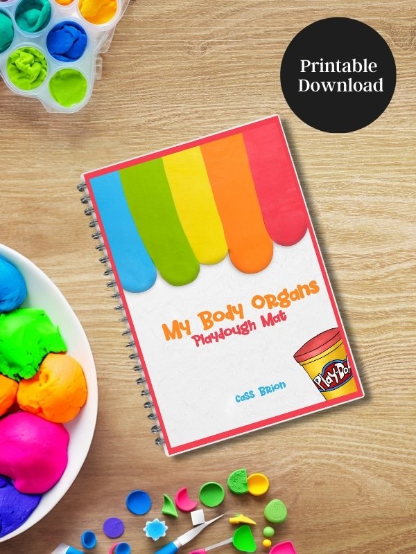 My Body Organs Playdough Mat product image (1)