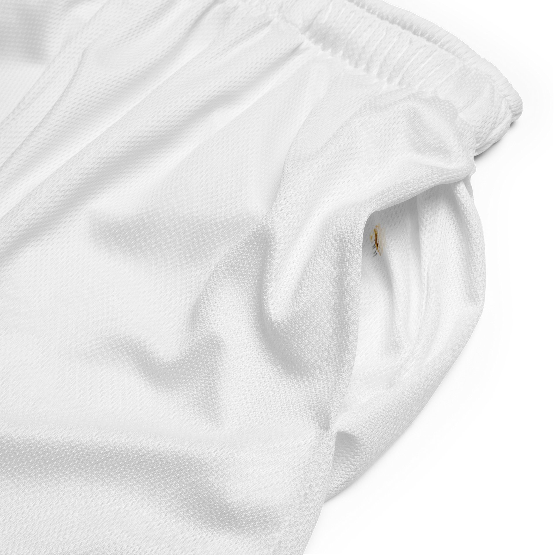 Centennial Performance Shorts product image (4)
