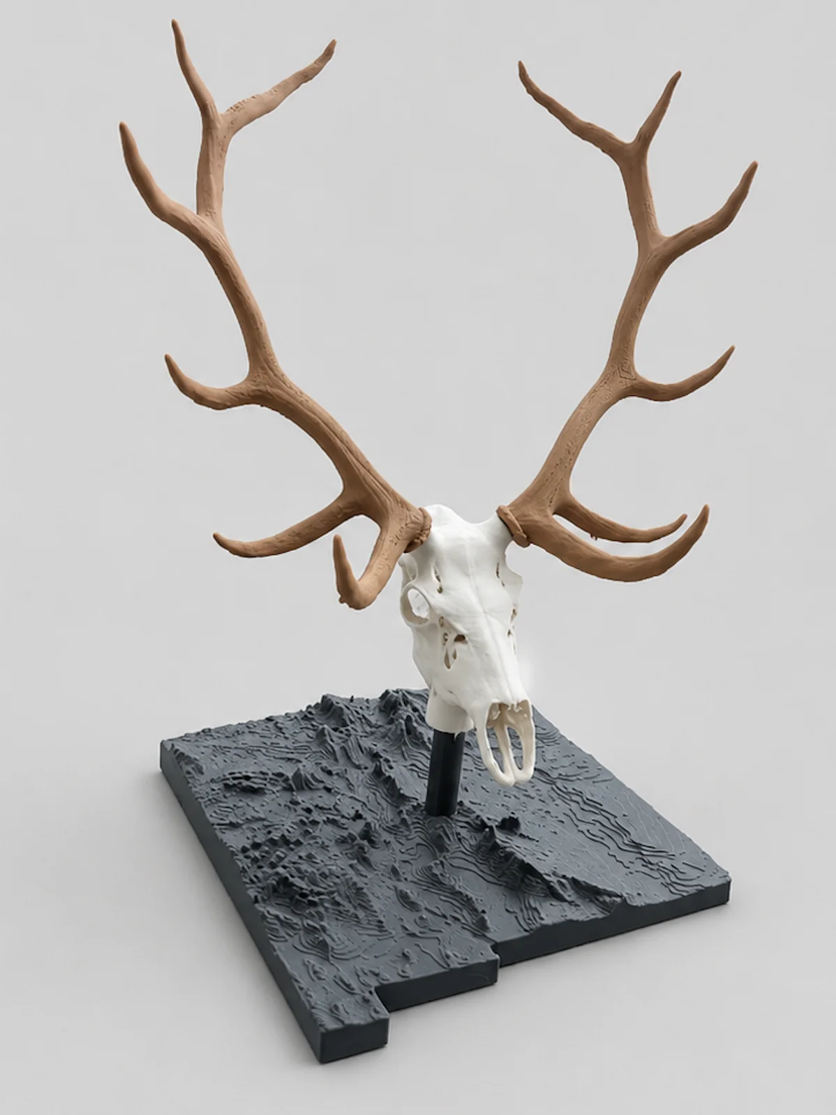 Bull Elk Euro Mount product image (2)