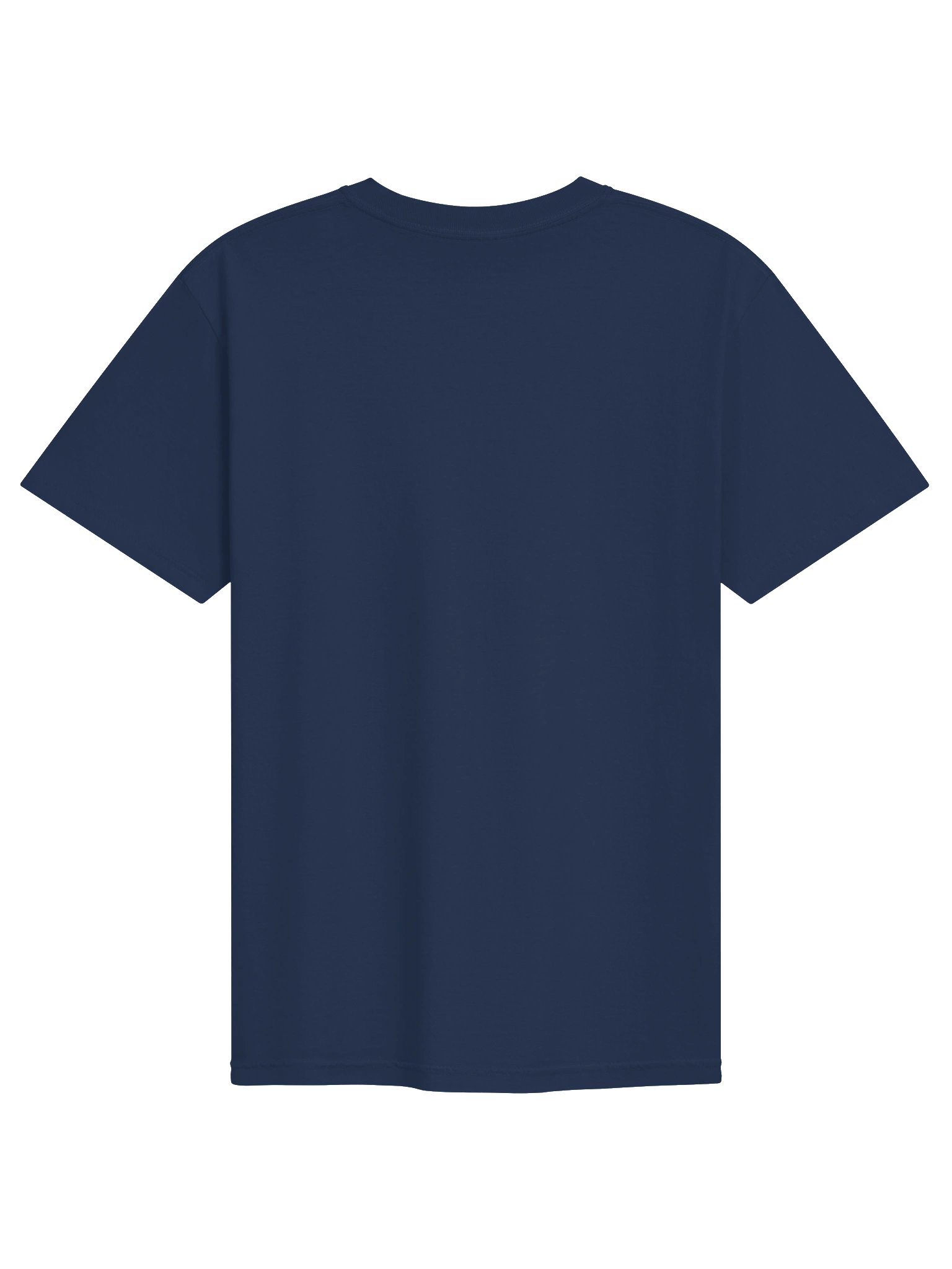 Rose Heavyweight Tee product image (10)