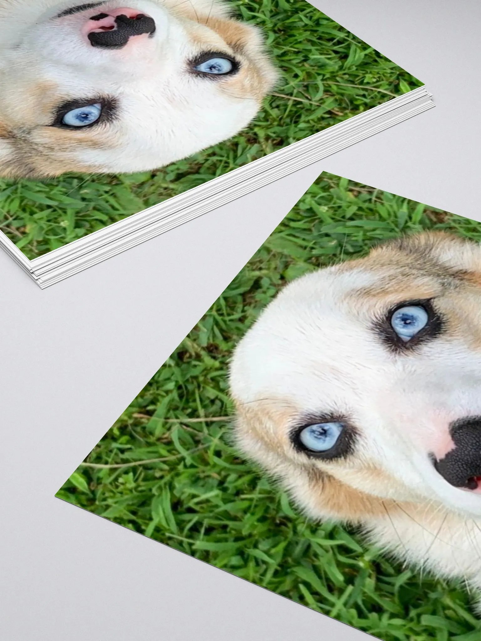Athena Sticker product image (4)