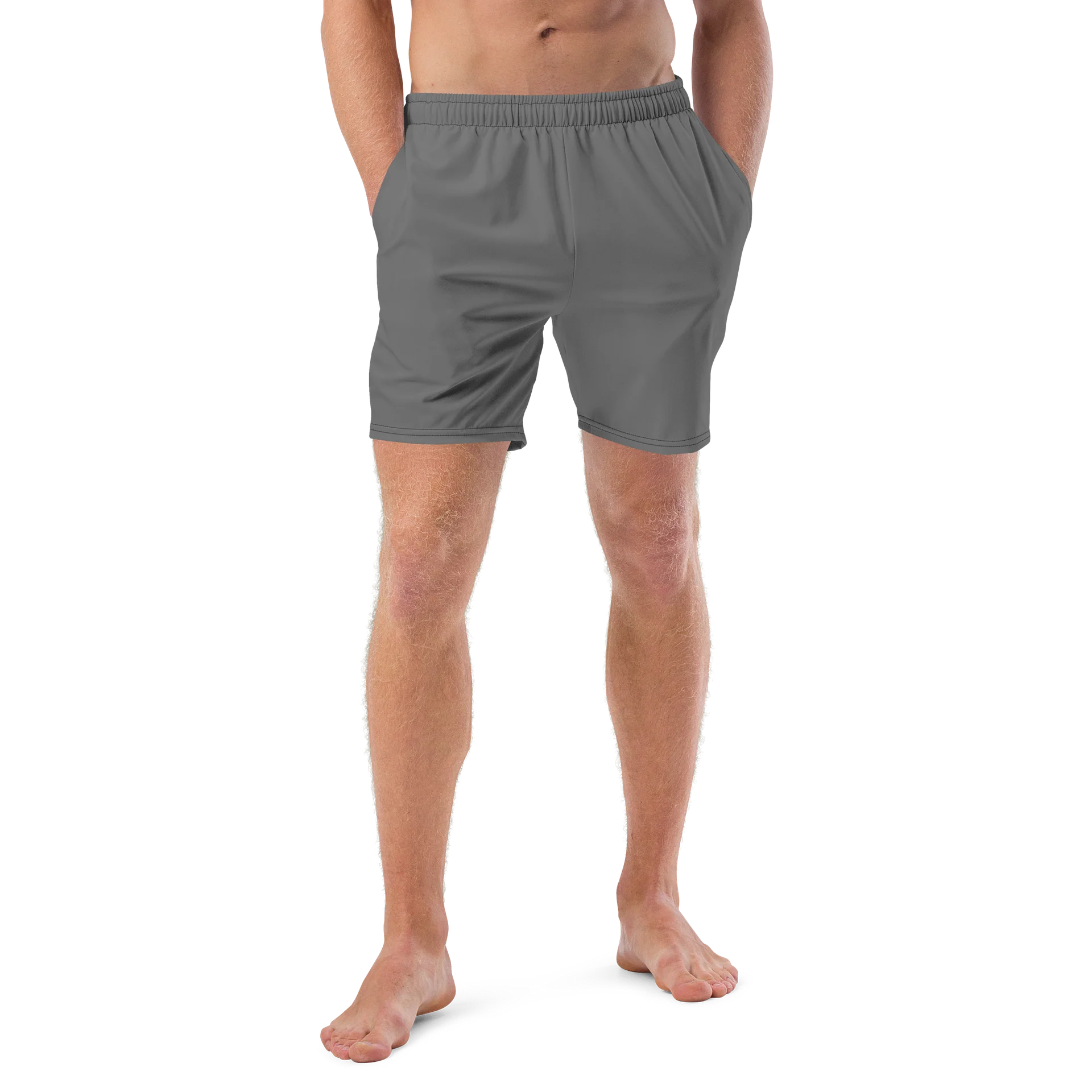 His House Mens Swimsuit - Grey product image (4)