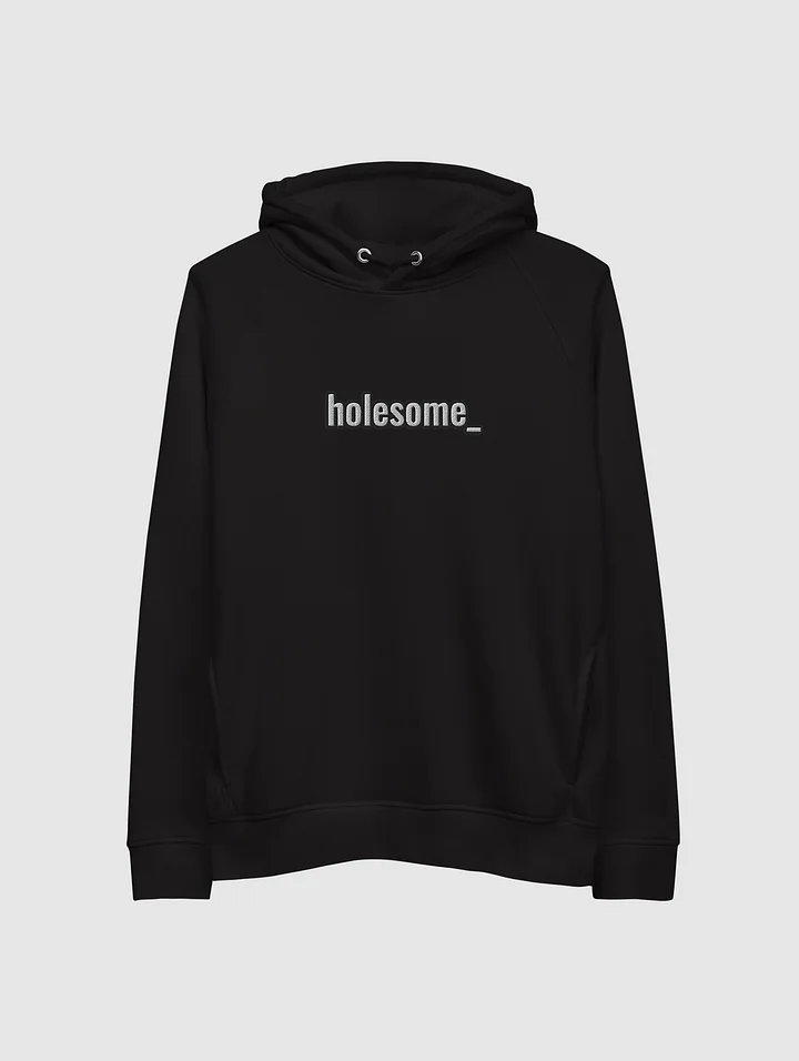 holesome Pullover Hoodie product image (2)