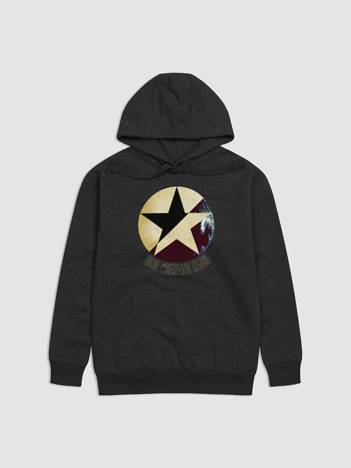 DWL Hoodie product image (1)