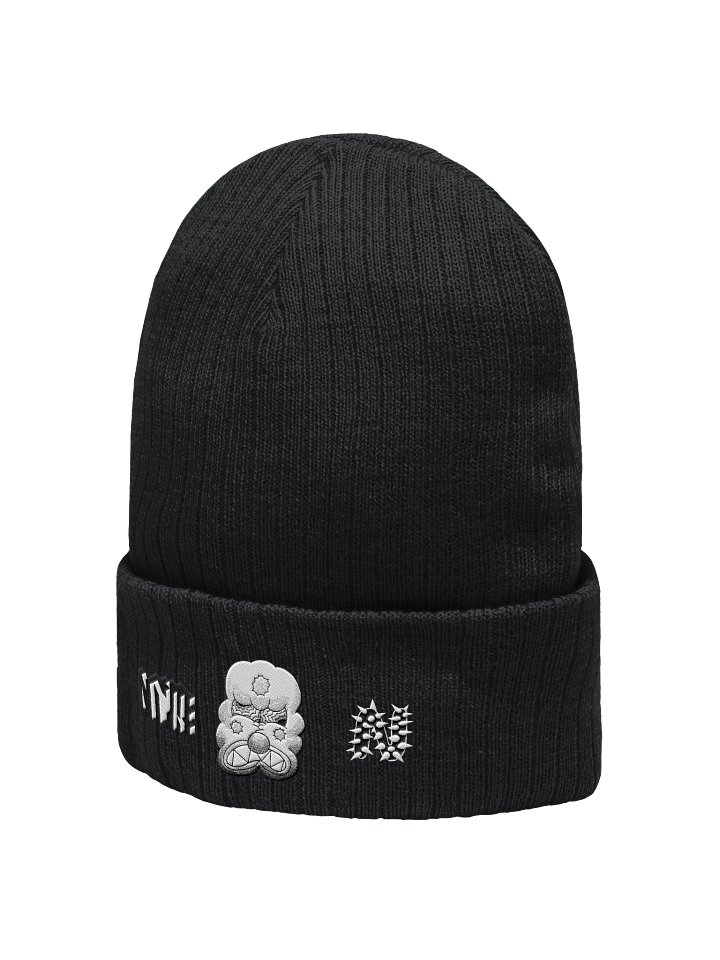 Black Bean Ribbed Beanie product image (2)