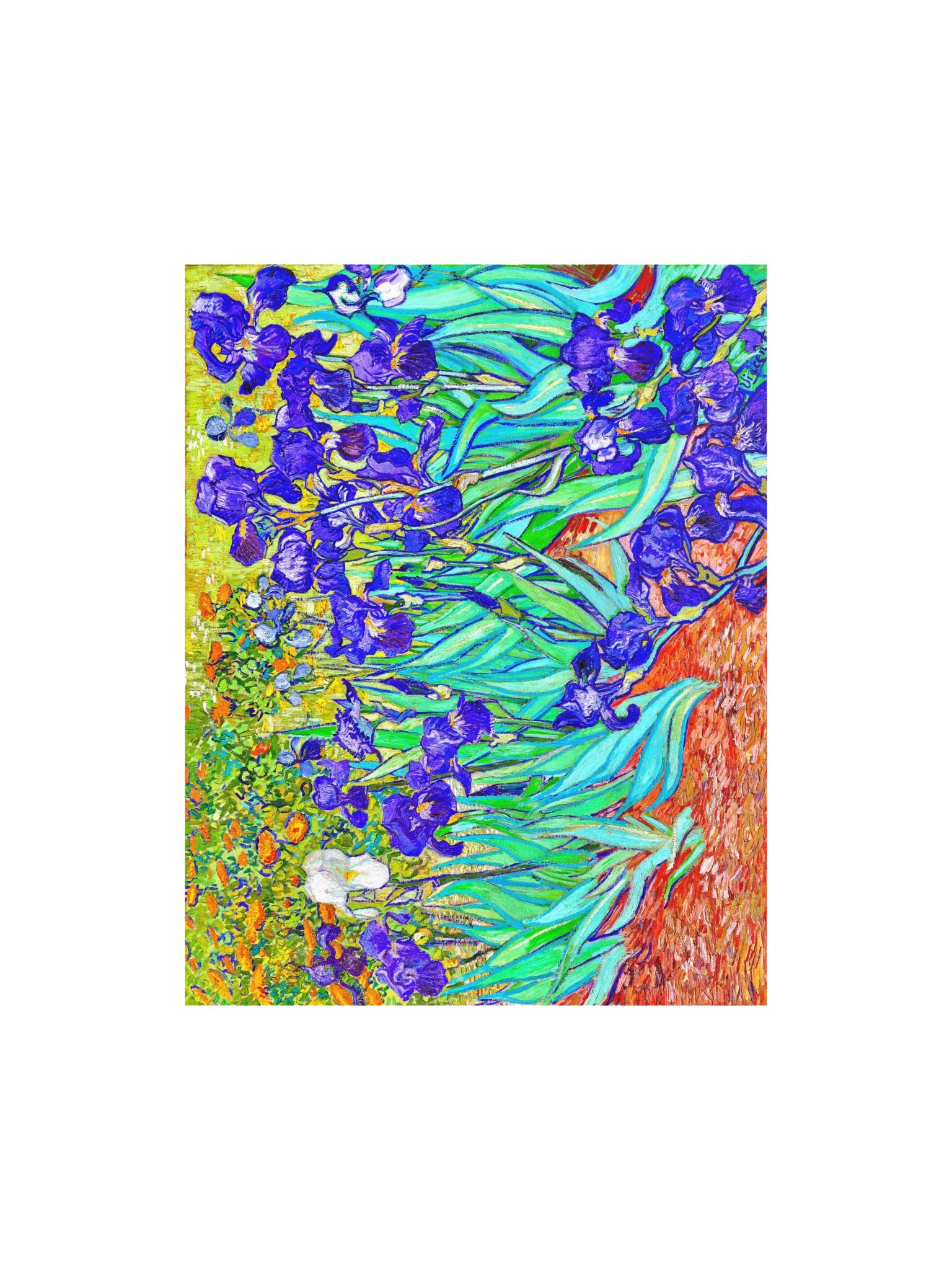 Irises — Medium Poster product image (1)