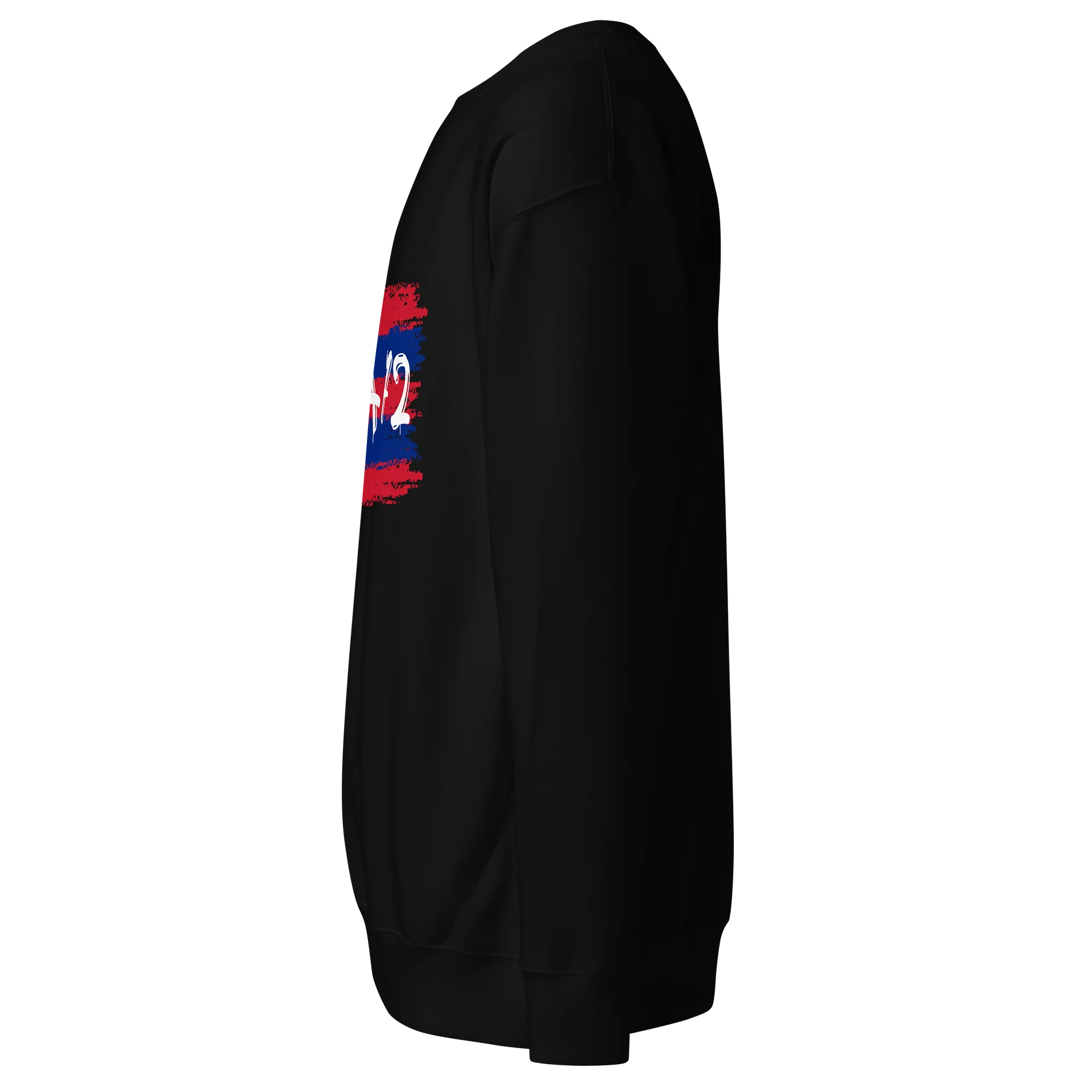 POA 72 Brush-Stroke Sweatshirt product image (10)