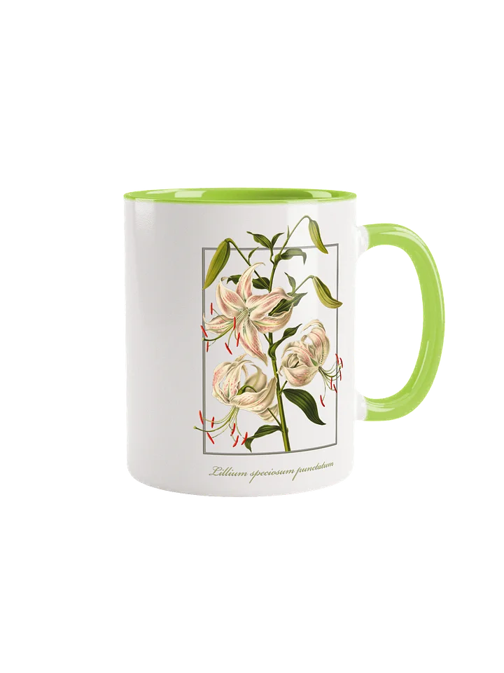 Japanese Lily, (Lilium speciosum) - Ceramic Mug product image (1)