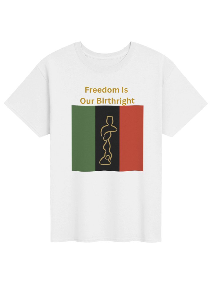 Freedom Is Our Birthright Tee product image (1)