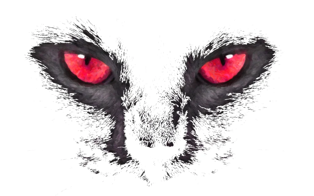 Cats Eye Digital Product product image (1)