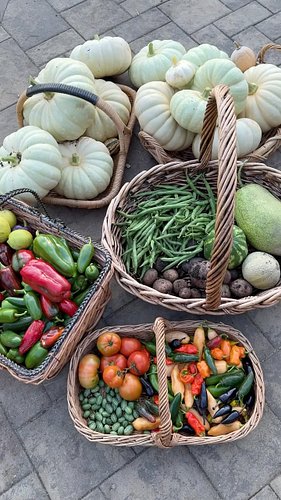 This HUGE end of season #harvest includes watermelon, cantaloupe, potatoes, pole beans, peppers, squash, lemons, and cucamelo...