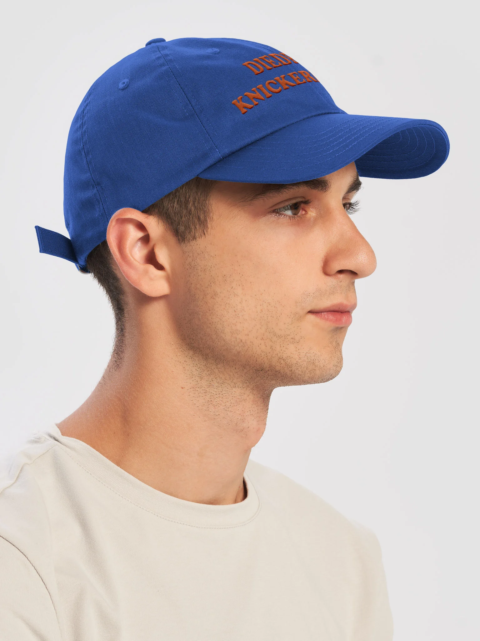 Diedrich Knickerbocker Dad Hat (Taylor's Version) product image (8)