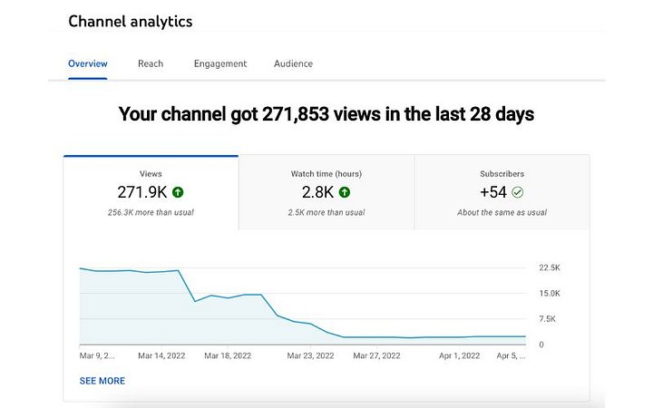 Video Monetization 1 Million Reach product image (1)