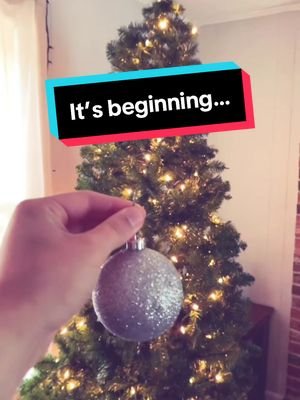 Its beginning… #IYKYK #happyholidays #merrychristmas #Decorating @Alli💙 