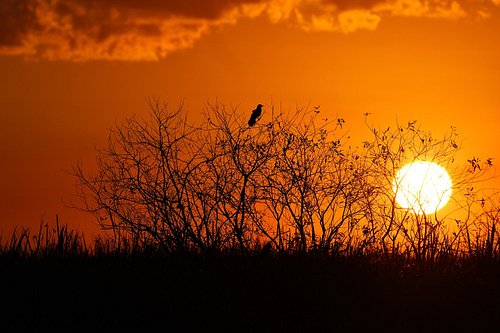 Florida West coast sunset captured from East coast