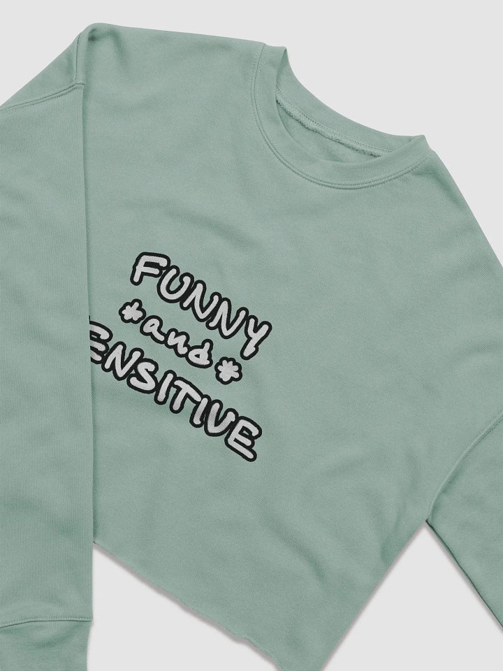 FUNNY *and* SENSITIVE (lined design) women’s fleece crop sweatshirt product image (9)