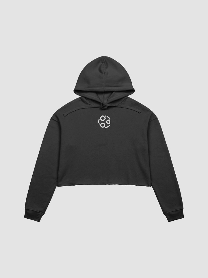 AbsolutRyan Crop-top Fleece Hoodie (Black) product image (1)