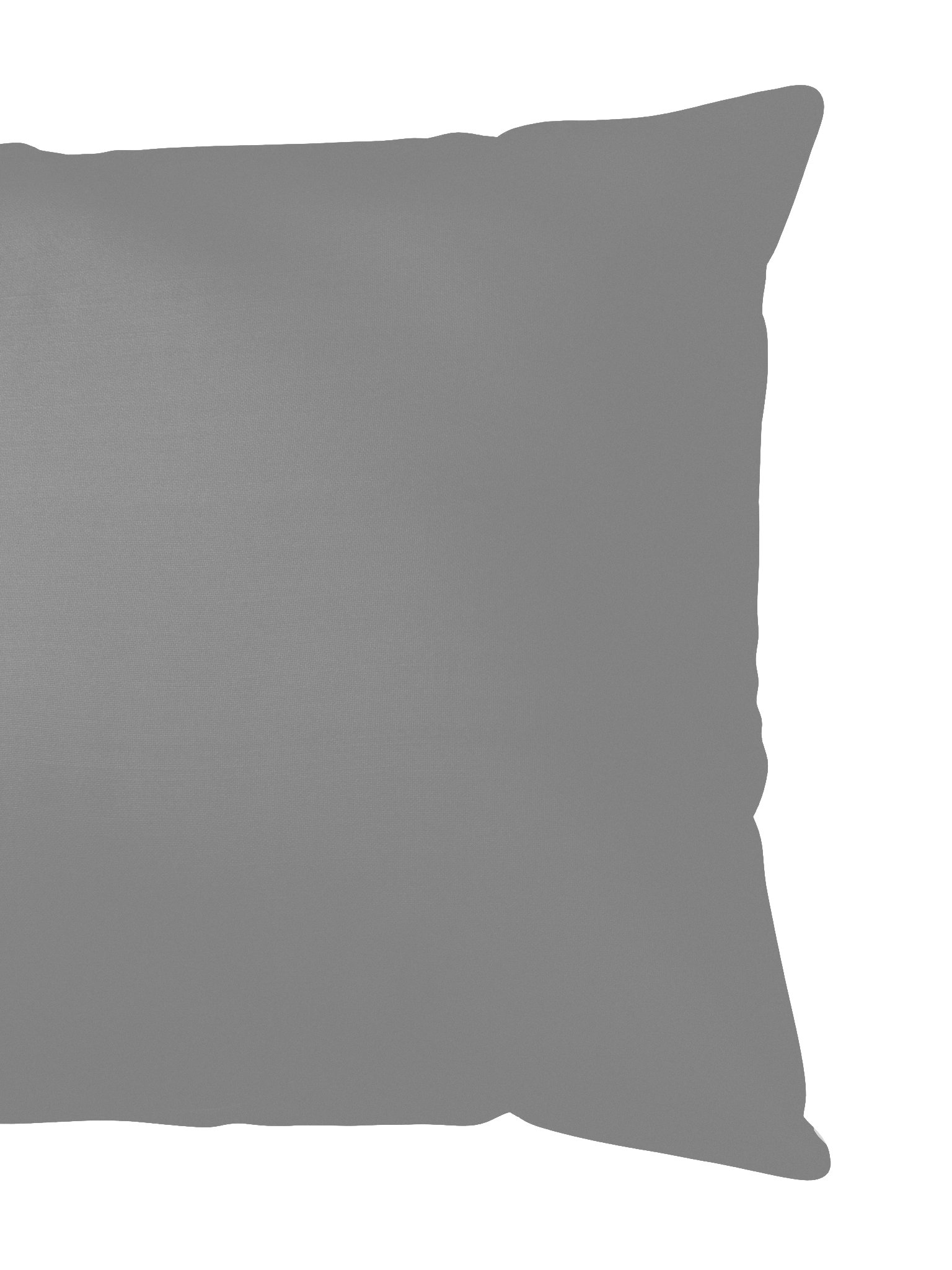 Snack Bandit 18 x 18 Pillow product image (2)