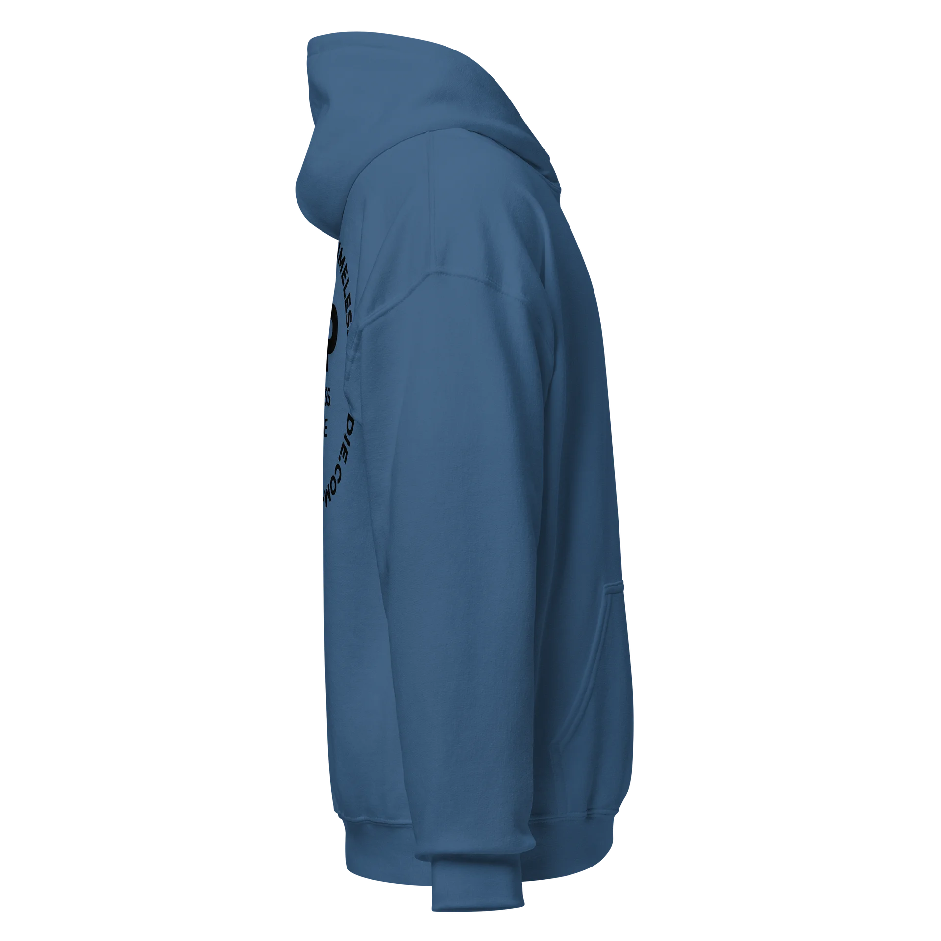 Timeless Hoodie VIP- Classic Hoodie product image (4)