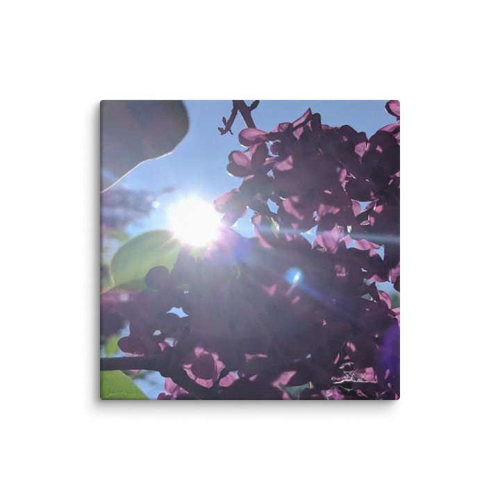 Lillac's and Sunshine product image (18)