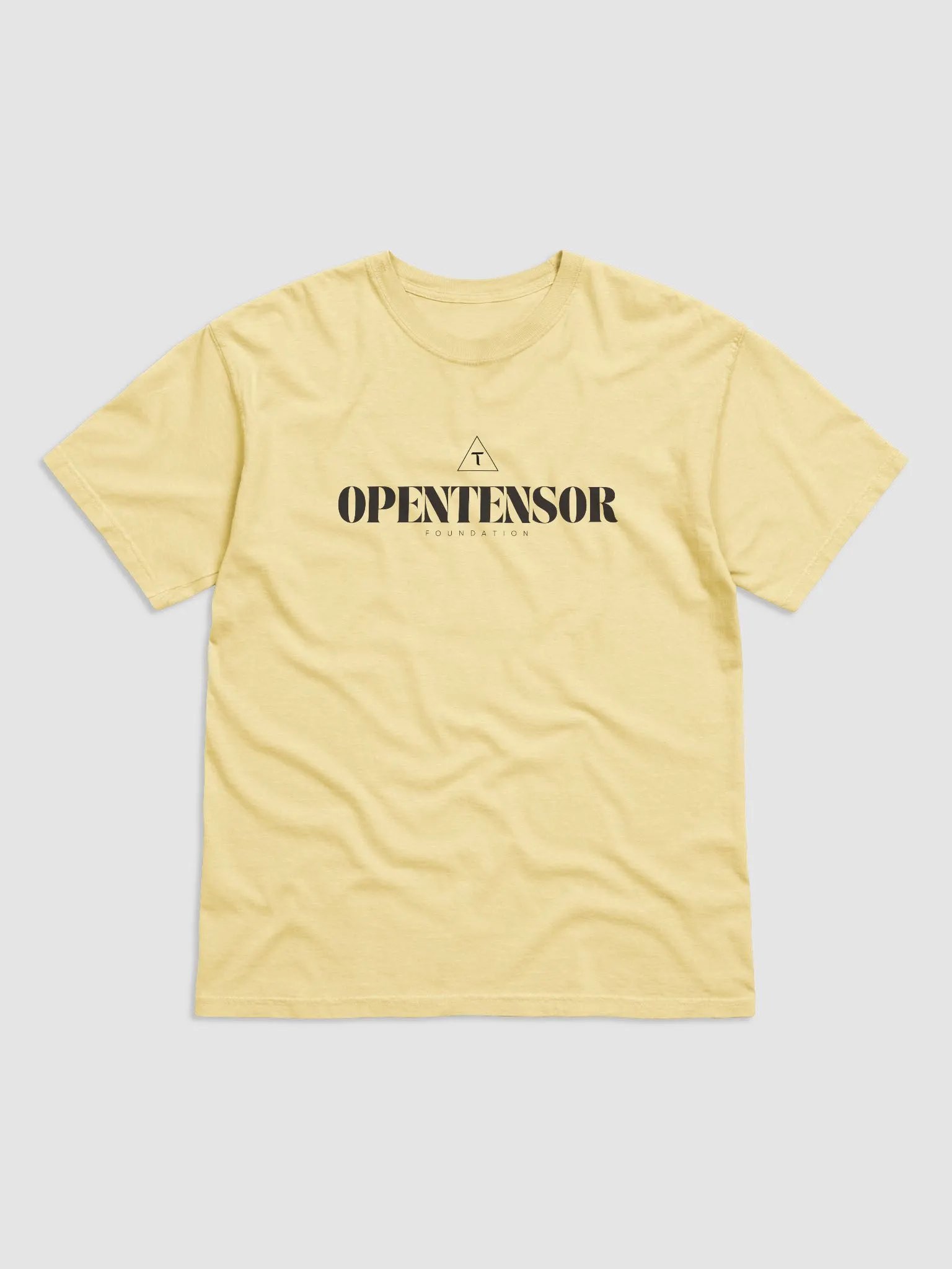 OPENTENSOR FOUNDATION product image (1)