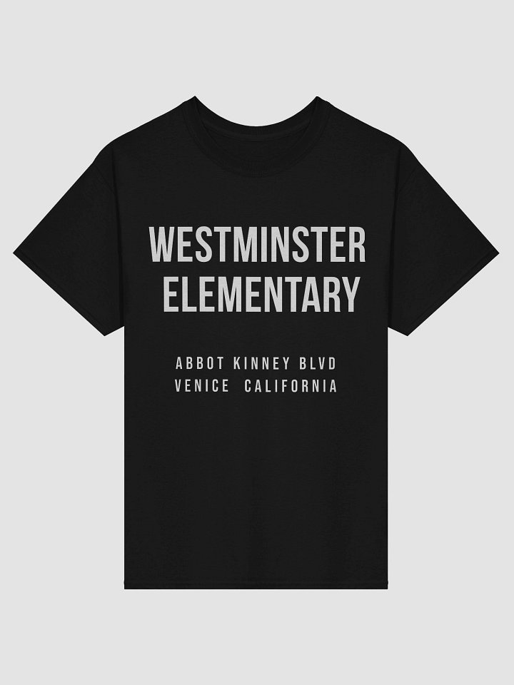 Adult Westminster Abbot Kinney - Heavyweight Tee product image (1)