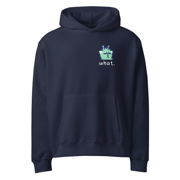 what hoodie product image (1)
