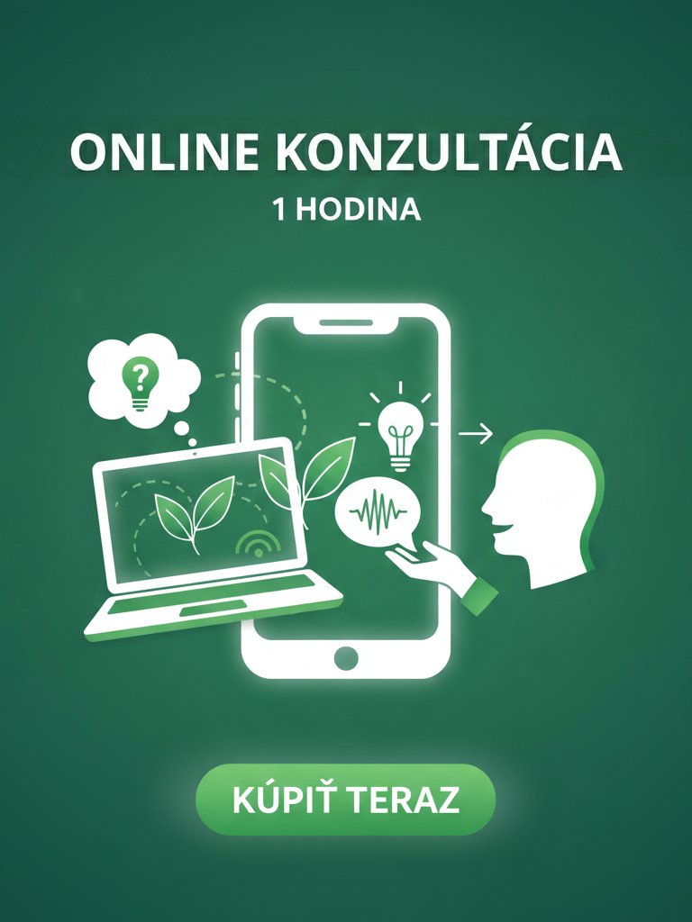 Súkromné poradenstvo a konzultácia product image (2)