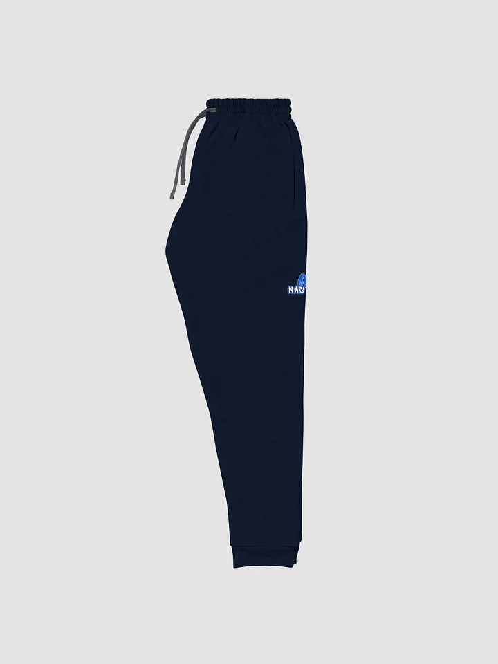 OPNastyy Unisex Joggers product image (2)