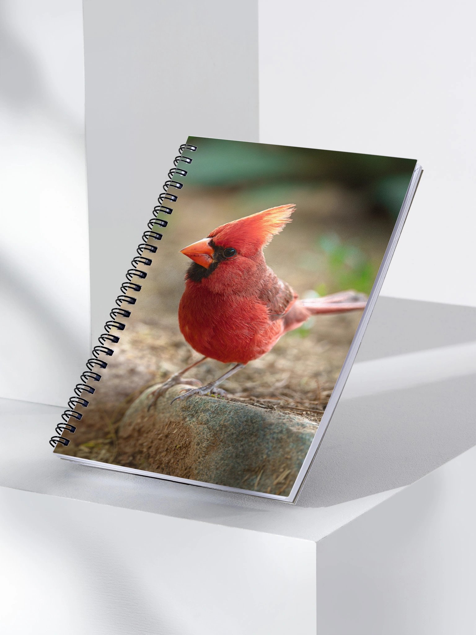 A Special Visitor product image (3)