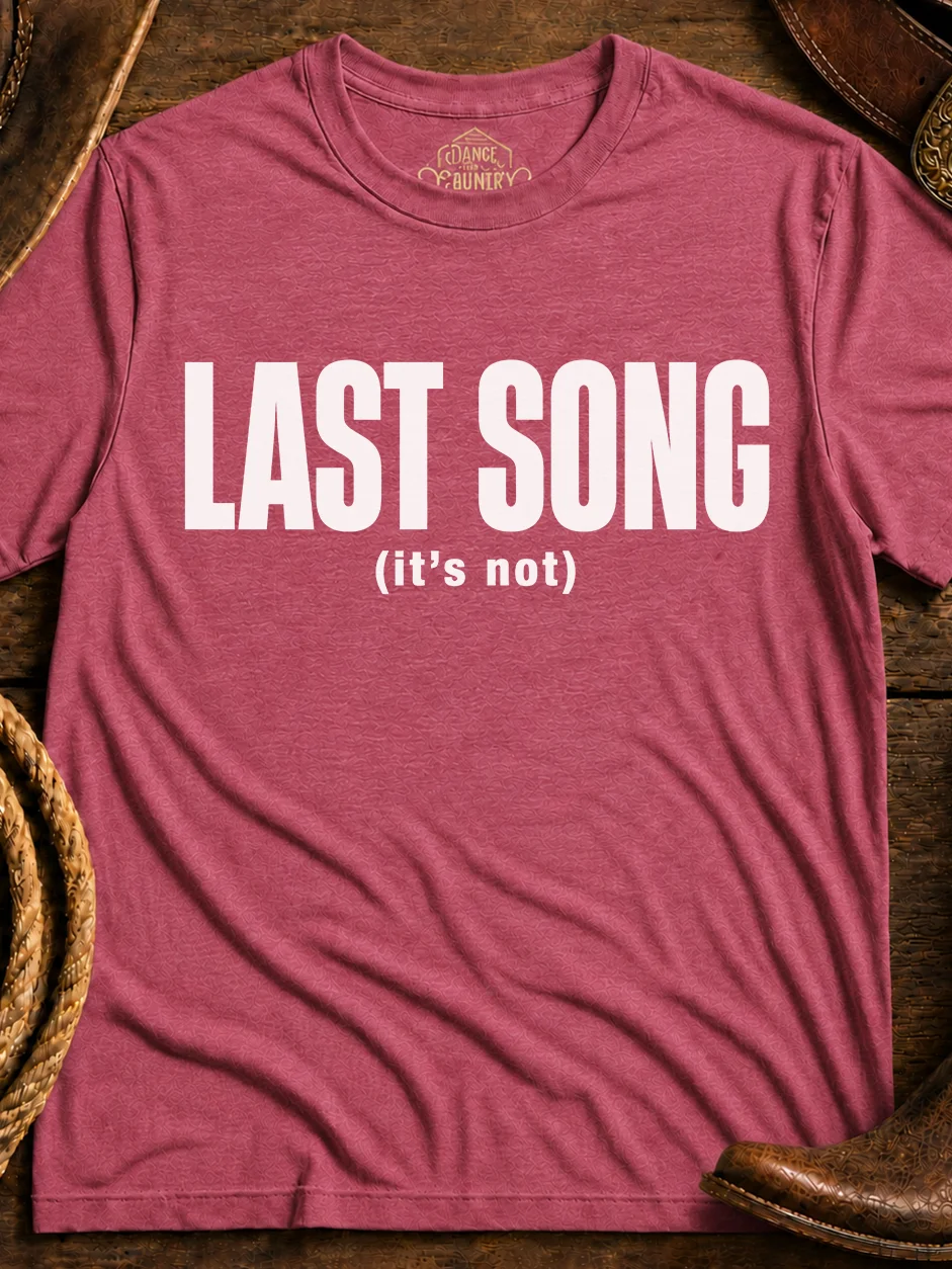 Last Song product image (1)