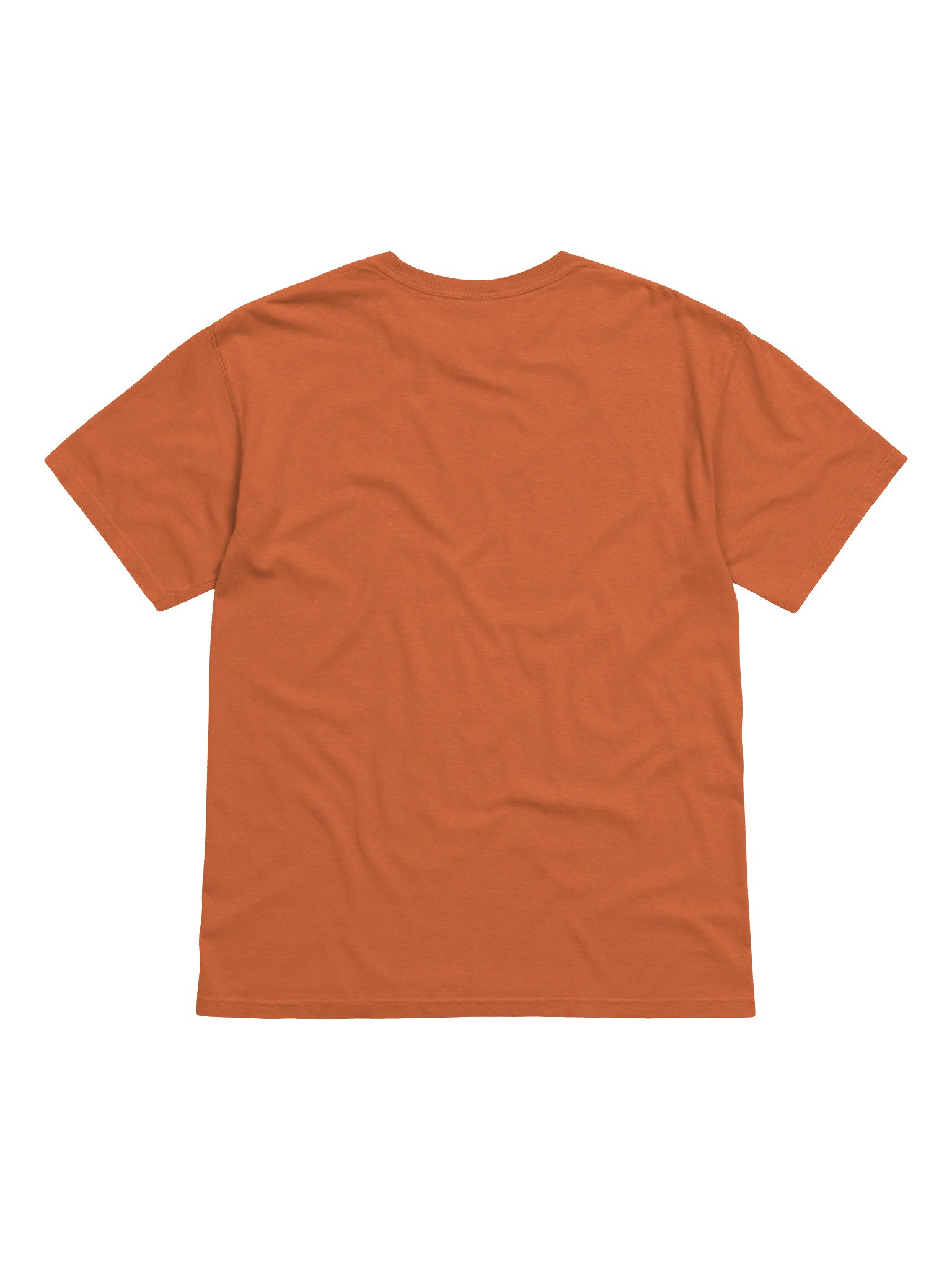Embroidered Monkey Tee (Unisex) product image (2)