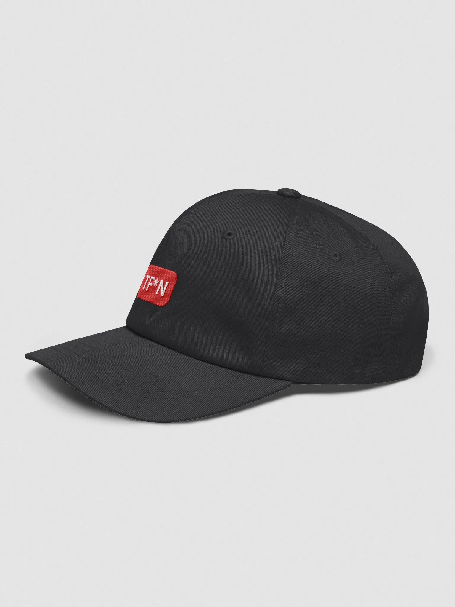 TF*N Classic Dad Hat product image (3)