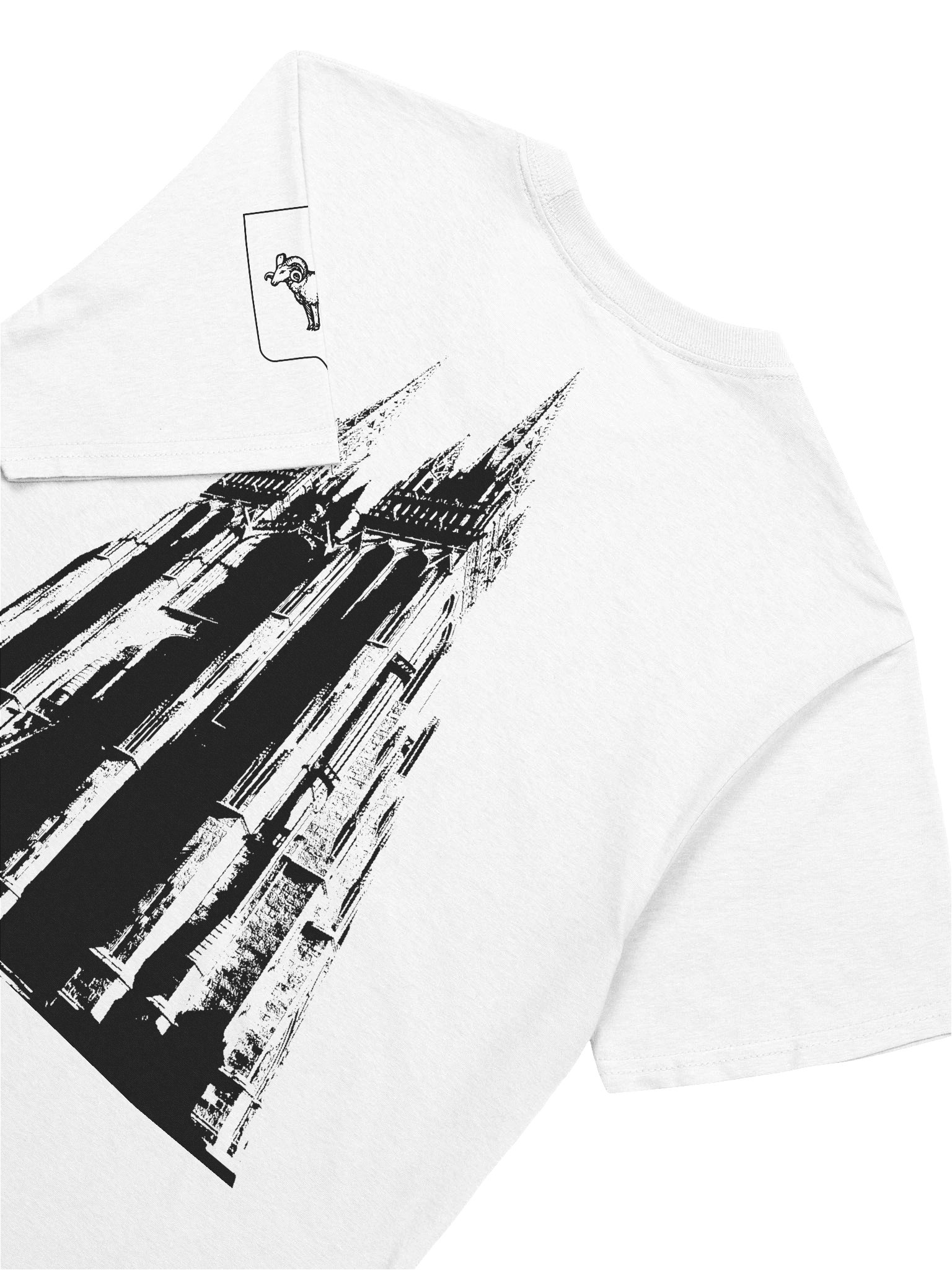 T-shirt Unisexe 100% Coton “Quimper 495” product image (4)