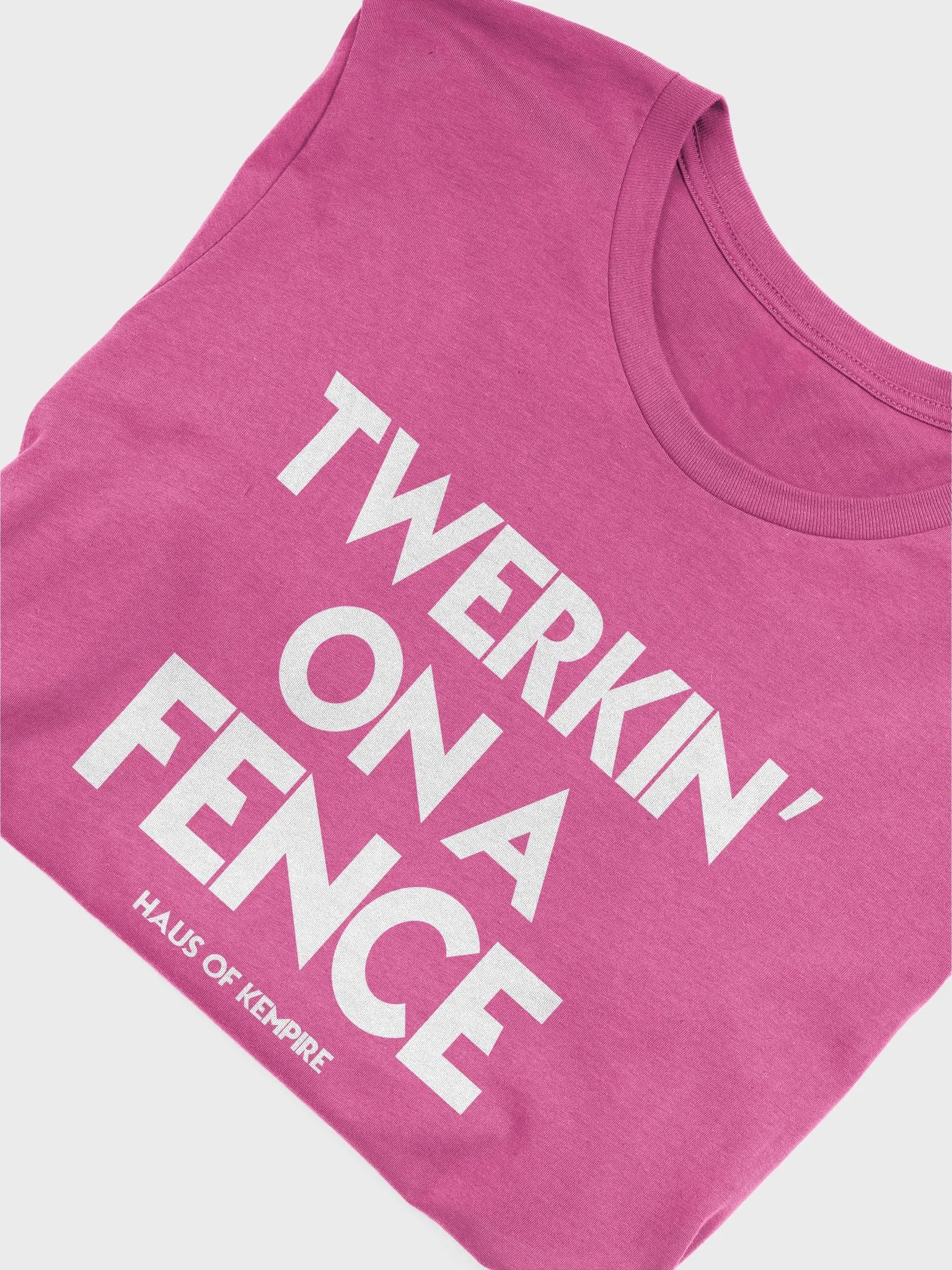 TWERKIN ON A FENCE - TEE product image (45)