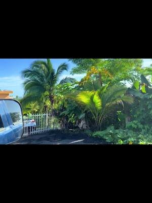 Puerto Rico es otra cosa #puertorico #fyp #puertorico🇵🇷 