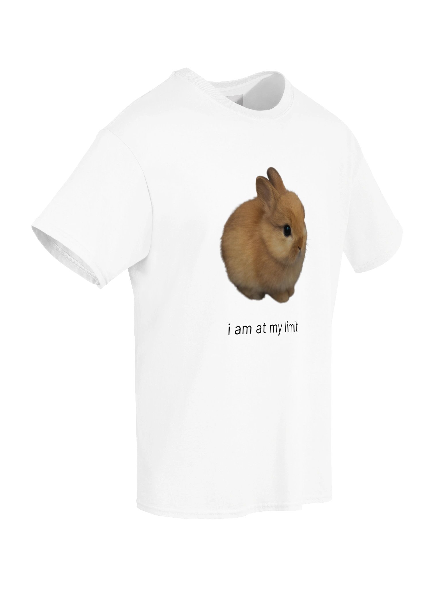 i am at my limit product image (38)
