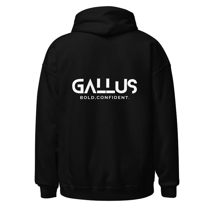 Gallus Hoodies - Embroidery Minimalistic product image (2)