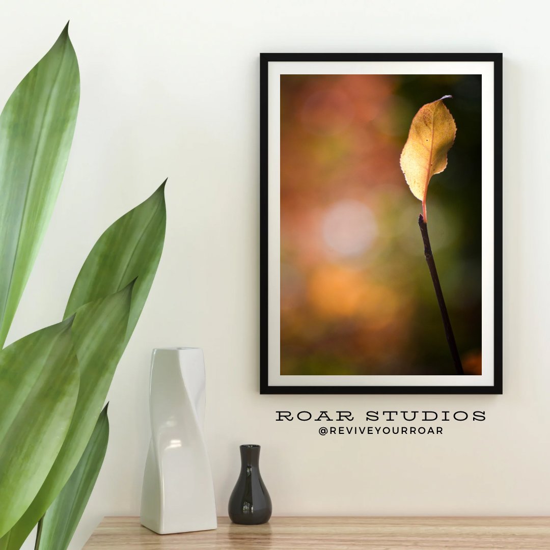 Stand Alone. product image (1)