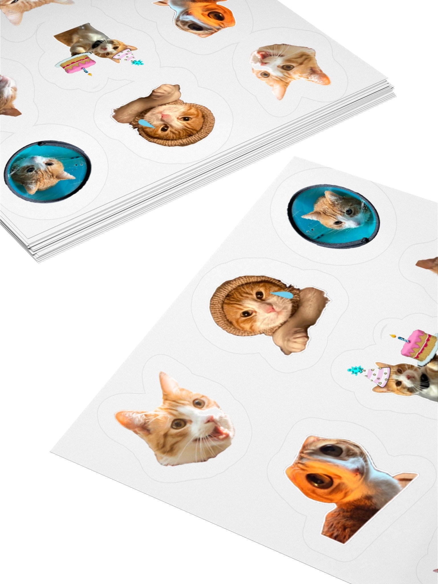 Funny Ros Stickers product image (11)