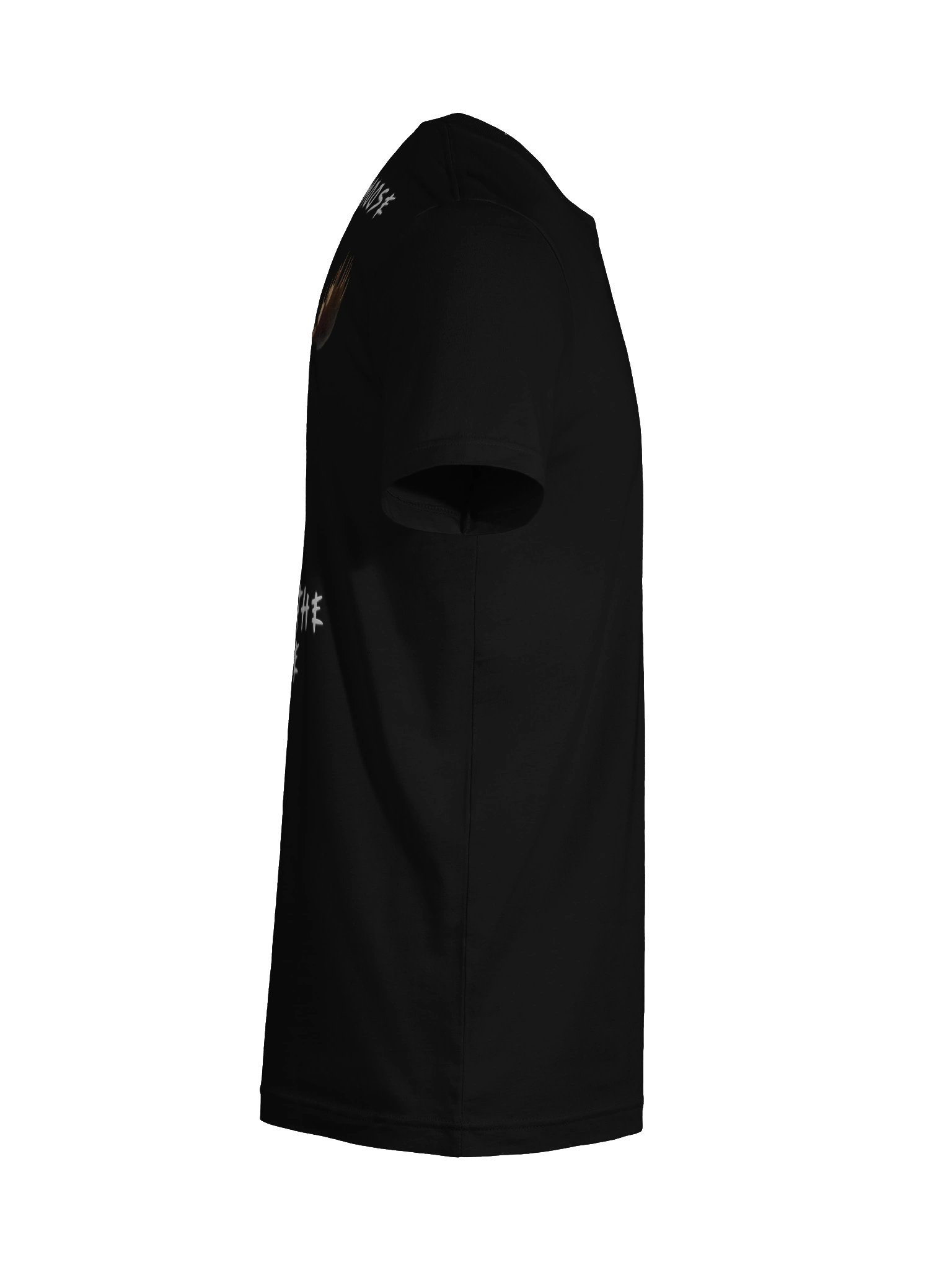 Synisisms - Anonymoose Tee product image (123)