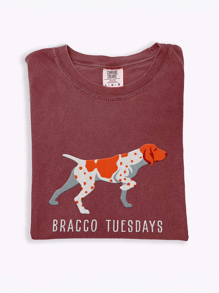 Bracco Tuesdays T-Shirt(Embroidered) of a Bracco Italiano(Red & White) product image (1)