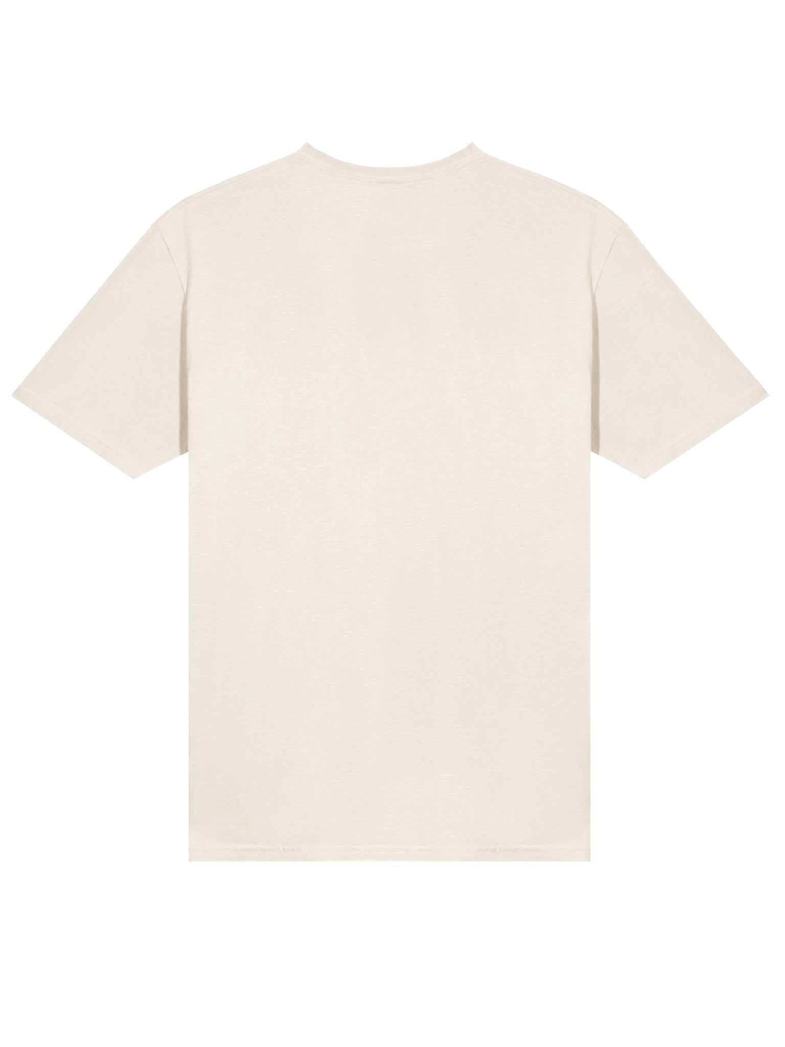 Divine Revelation T-Shirt product image (2)