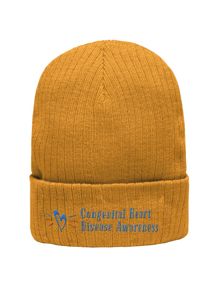 Premium Ribbed CHD Awareness Beanie product image (19)