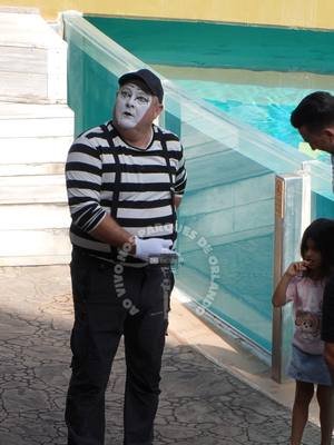 I think mime Tom didn't like it! 😡😂🤣 #tomthemime #seaworldmime #seaworldorlando#tom #tomseaworldmime